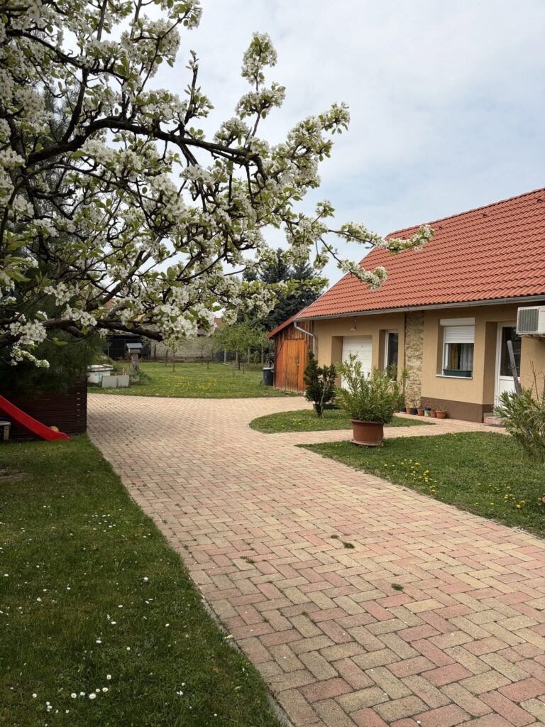 Felejtsd el a megszokott borfesztiválokat: ilyen lesz az idei Vino Camino® Somló