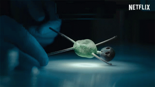 A gesztenyeember GIF
